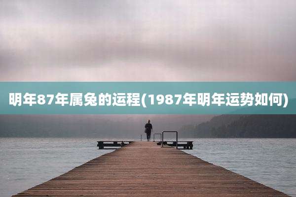明年87年属兔的运程(1987年明年运势如何)
