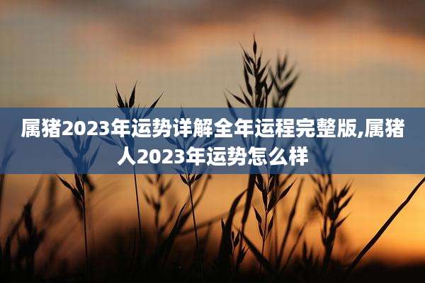 属猪2023年运势详解全年运程完整版,属猪人2023年运势怎么样