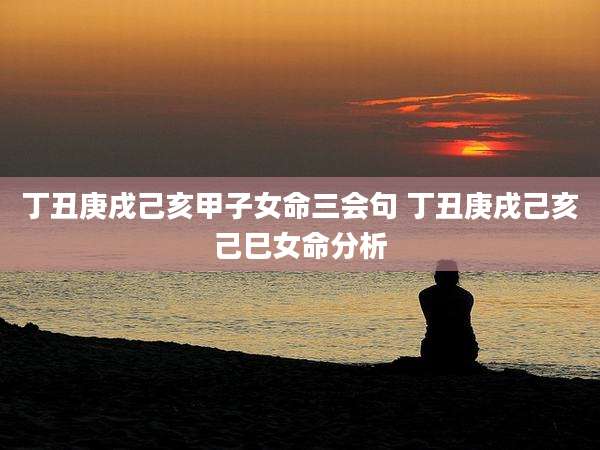 丁丑庚戌己亥甲子女命三会句 丁丑庚戌己亥己巳女命分析