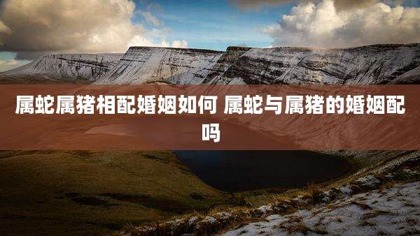 属蛇属猪相配婚姻如何 属蛇与属猪的婚姻配吗