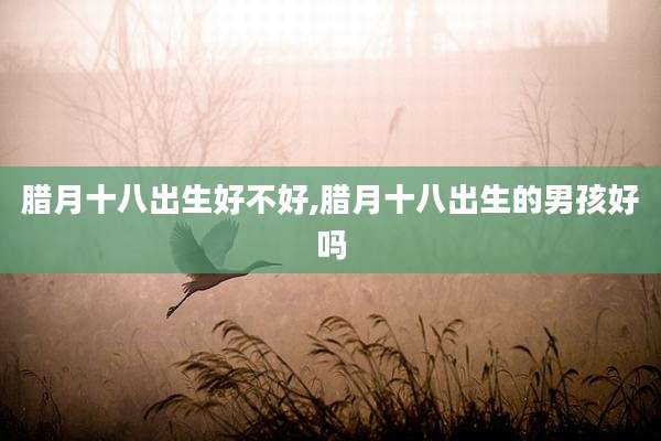 腊月十八出生好不好,腊月十八出生的男孩好吗