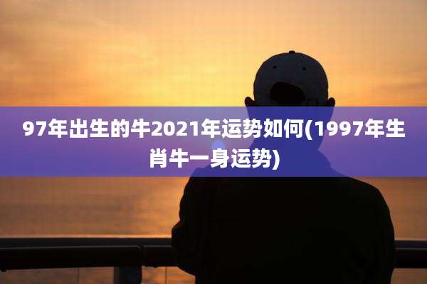 97年出生的牛2021年运势如何(1997年生肖牛一身运势)