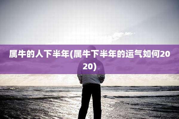 属牛的人下半年(属牛下半年的运气如何2020)