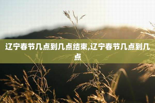 辽宁春节几点到几点结束,辽宁春节几点到几点