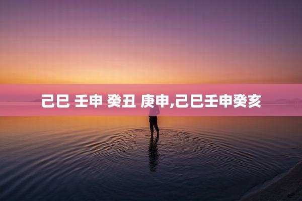 己巳 壬申 癸丑 庚申,己巳壬申癸亥