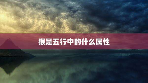 猴是五行中的什么属性