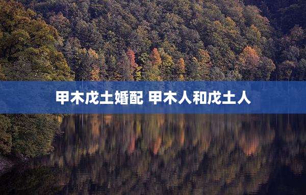 甲木戊土婚配 甲木人和戊土人