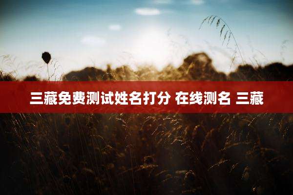 三藏免费测试姓名打分 在线测名 三藏