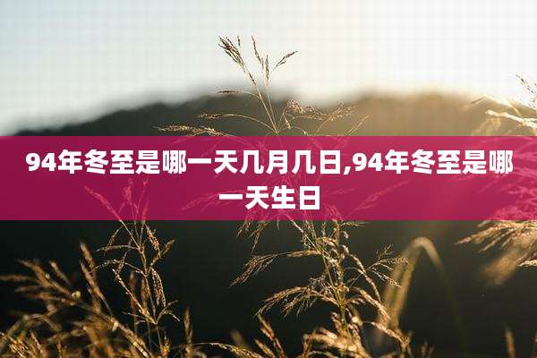 94年冬至是哪一天几月几日,94年冬至是哪一天生日