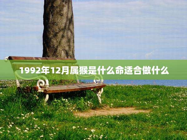1992年12月属猴是什么命适合做什么
