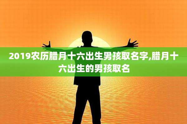 2019农历腊月十六出生男孩取名字,腊月十六出生的男孩取名