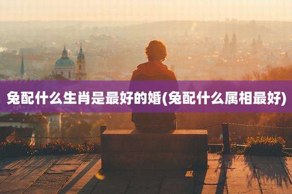 兔配什么生肖是最好的婚(兔配什么属相最好)