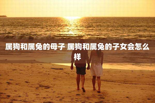属狗和属兔的母子 属狗和属兔的子女会怎么样