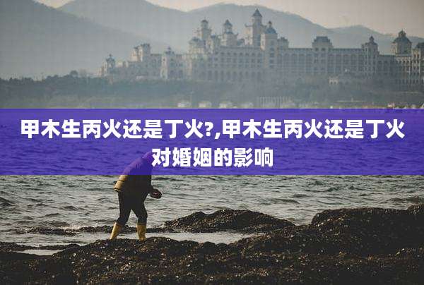 甲木生丙火还是丁火?,甲木生丙火还是丁火对婚姻的影响