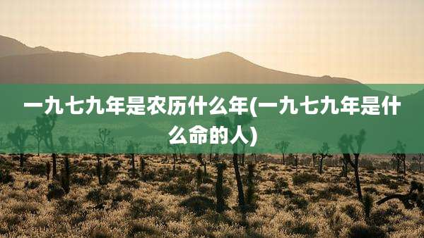 一九七九年是农历什么年(一九七九年是什么命的人)
