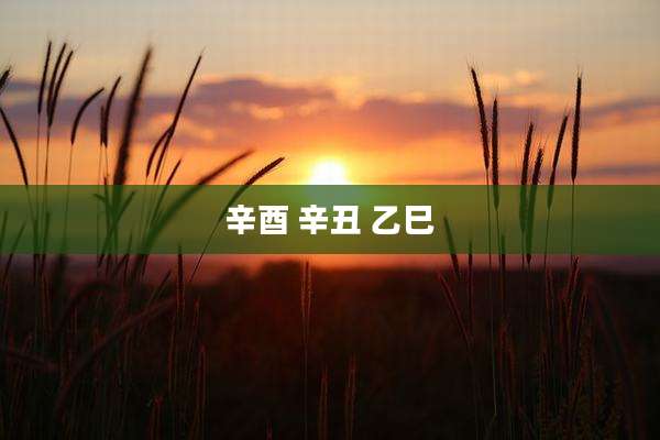 辛酉 辛丑 乙巳