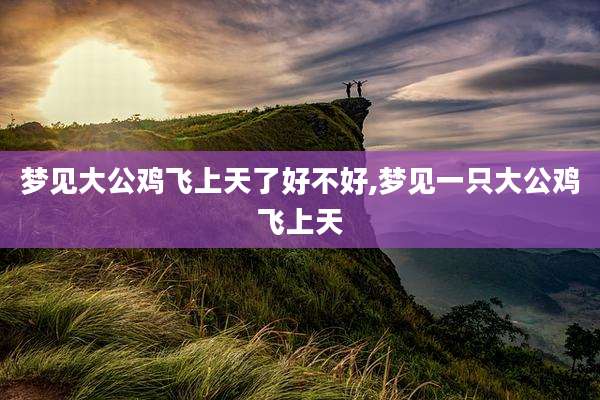 梦见大公鸡飞上天了好不好,梦见一只大公鸡飞上天
