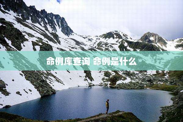 命例库查询 命例是什么