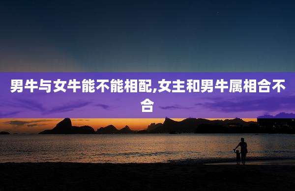 男牛与女牛能不能相配,女主和男牛属相合不合