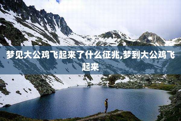 梦见大公鸡飞起来了什么征兆,梦到大公鸡飞起来