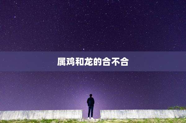 属鸡和龙的合不合