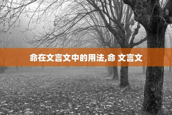 命在文言文中的用法,命 文言文