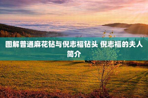 图解普通麻花钻与倪志福钻头 倪志福的夫人简介