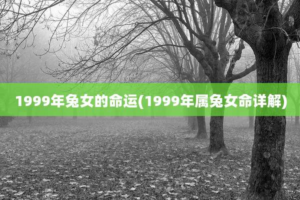 1999年兔女的命运(1999年属兔女命详解)