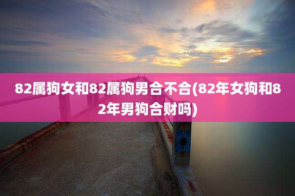 82属狗女和82属狗男合不合(82年女狗和82年男狗合财吗)