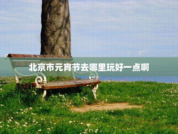 北京市元宵节去哪里玩好一点啊