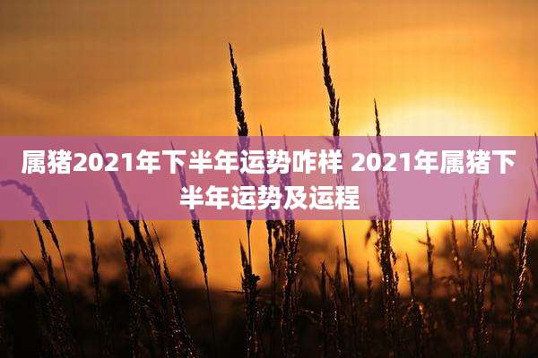 属猪2021年下半年运势咋样 2021年属猪下半年运势及运程
