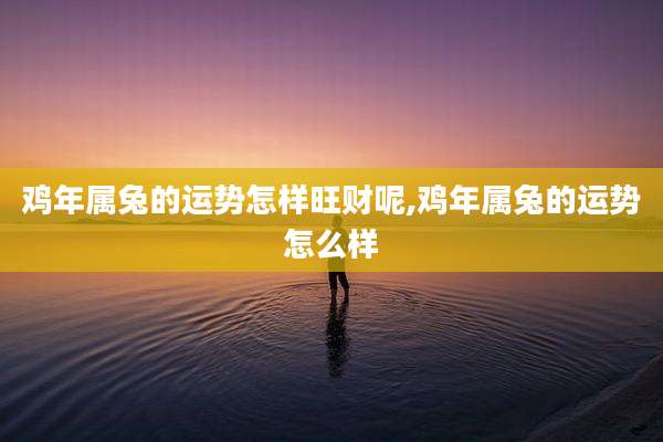 鸡年属兔的运势怎样旺财呢,鸡年属兔的运势怎么样