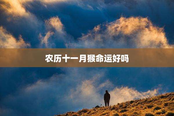 农历十一月猴命运好吗