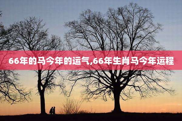 66年的马今年的运气,66年生肖马今年运程