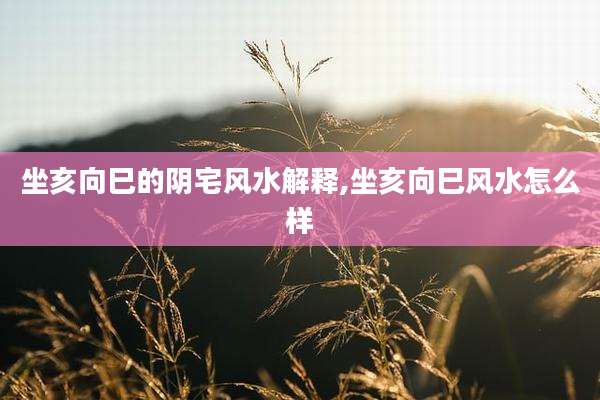 坐亥向巳的阴宅风水解释,坐亥向巳风水怎么样