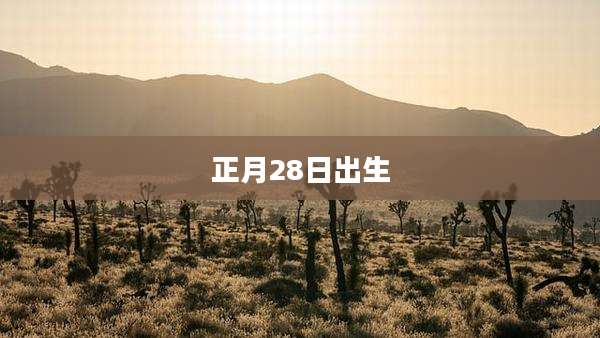 正月28日出生