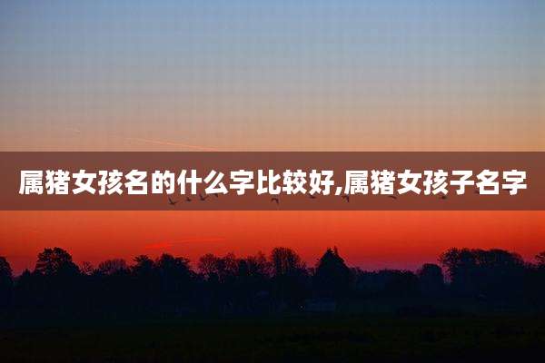 属猪女孩名的什么字比较好,属猪女孩子名字
