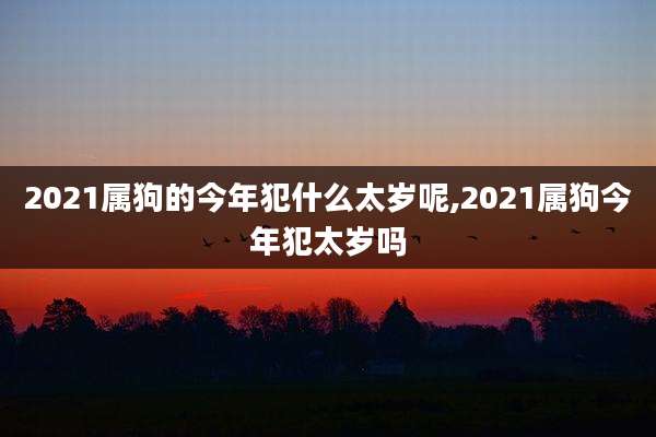 2021属狗的今年犯什么太岁呢,2021属狗今年犯太岁吗