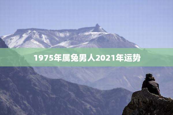 1975年属兔男人2021年运势