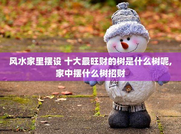 风水家里摆设 十大最旺财的树是什么树呢,家中摆什么树招财