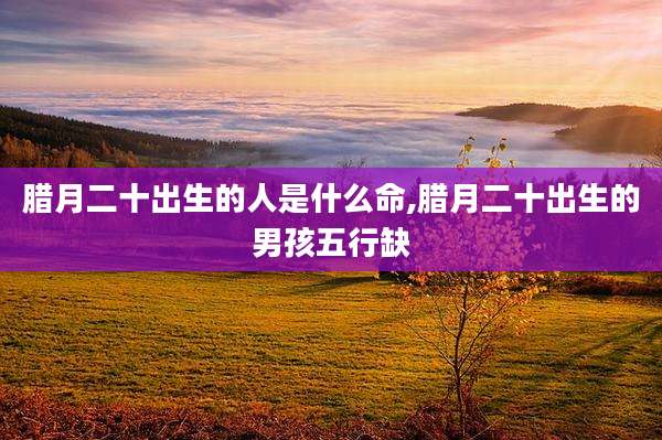 腊月二十出生的人是什么命,腊月二十出生的男孩五行缺