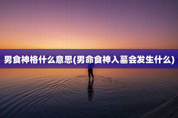 男食神格什么意思(男命食神入墓会发生什么)