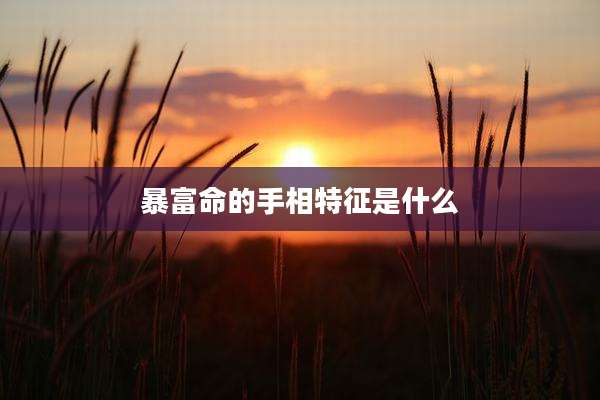 暴富命的手相特征是什么