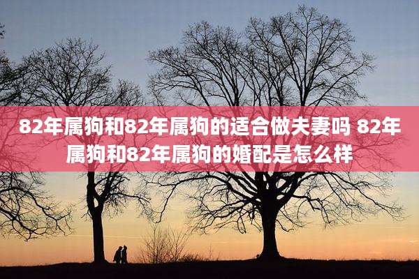 82年属狗和82年属狗的适合做夫妻吗 82年属狗和82年属狗的婚配是怎么样