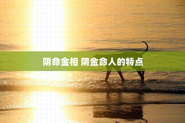 阴命金相 阴金命人的特点