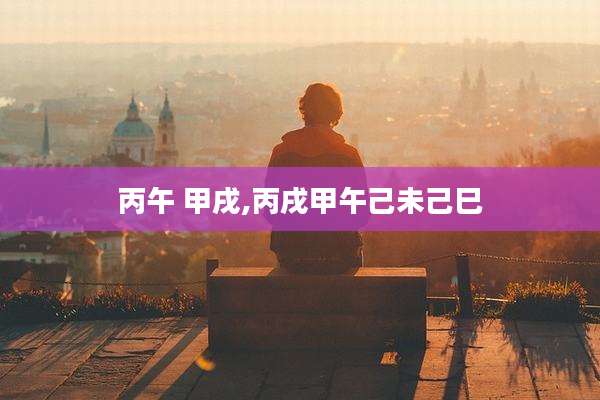 丙午 甲戌,丙戌甲午己未己巳