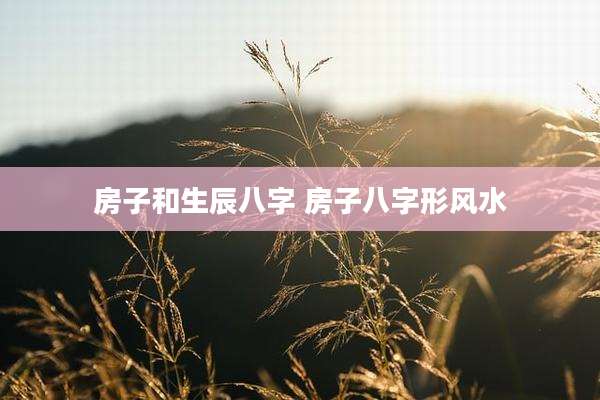 房子和生辰八字 房子八字形风水