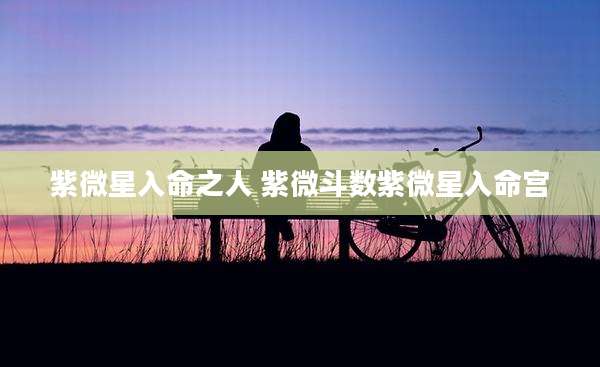 紫微星入命之人 紫微斗数紫微星入命宫