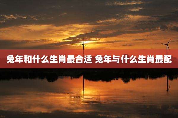 兔年和什么生肖最合适 兔年与什么生肖最配