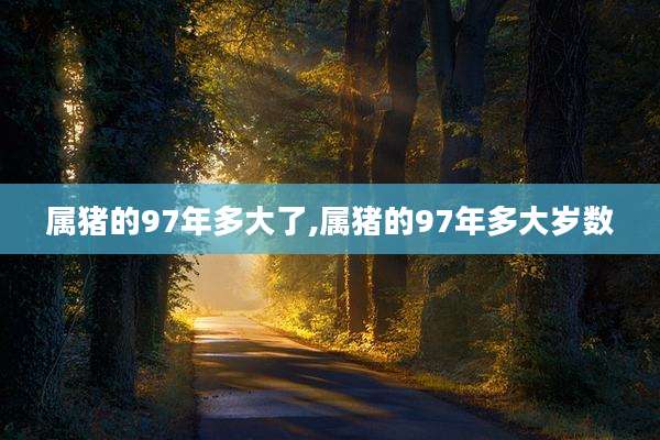 属猪的97年多大了,属猪的97年多大岁数